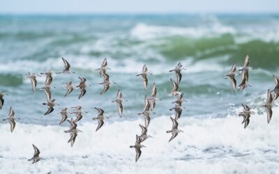 Als Coach Deine Lieblingsklienten kennen – drei nützliche Impulse