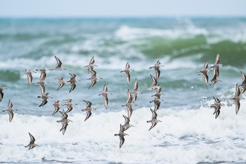 Als Coach Deine Lieblingsklienten kennen – drei nützliche Impulse